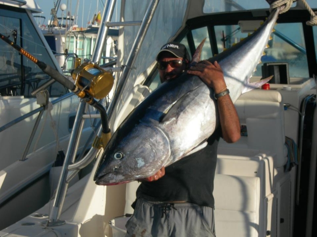 pescando atunes